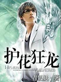 护花狂龙胭脂虎和易军相认