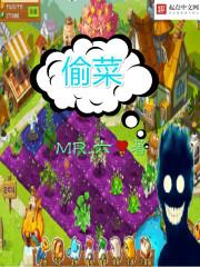 偷菜叫什么游戏