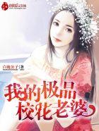 我的极品校花老婆主要内容是什么