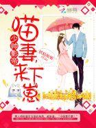 少帅影帝:喵妻,来下崽!