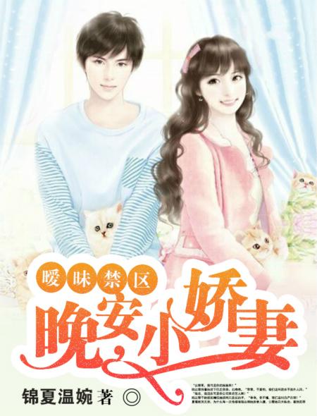 暧昧禁区:晚安,小娇妻