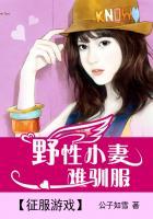 征服游戏:野性小妻难驯服